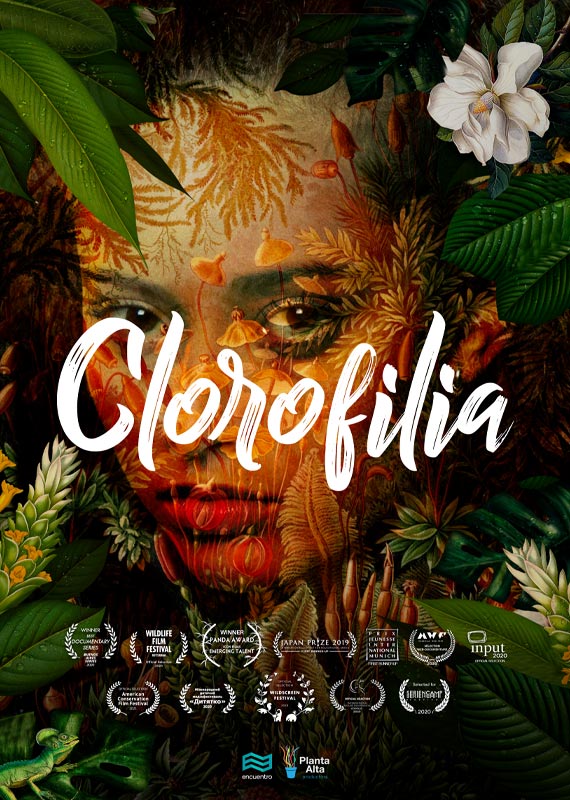 Clorofilia